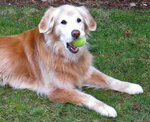 Annie of J&A's Winery