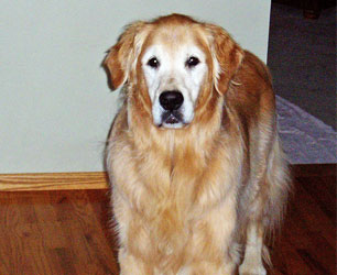 Jake of J&A's Winery